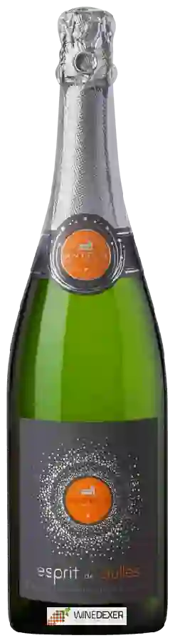 Winery Antech - Esprit de Bulles Limoux