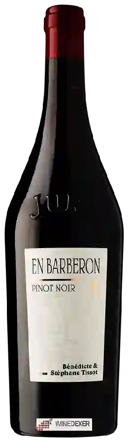 Winery Bénédicte et Stéphane Tissot - En Barberon Pinot Noir