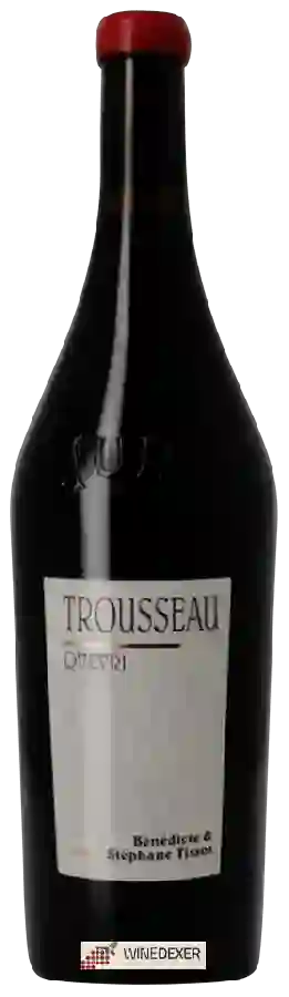 Winery Bénédicte et Stéphane Tissot - Trousseau Qvevri