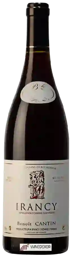 Winery Benoit Cantin - Irancy