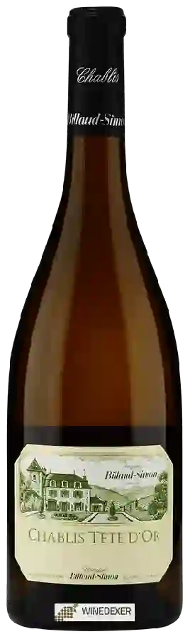 Winery Billaud-Simon - Chablis Tête d'Or Winery Billaud-Simon - Chablis Tête d'Or