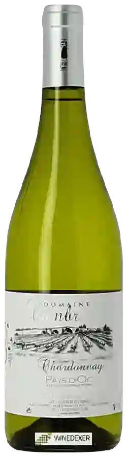Château Cambriel - Chardonnay