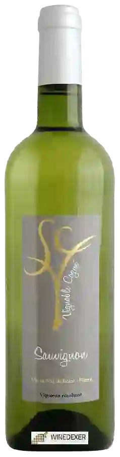Vignoble Cogné - Domaine de la Couperie - Sauvignon Blanc Vignoble Cogné - Domaine de la Couperie - Sauvignon Blanc