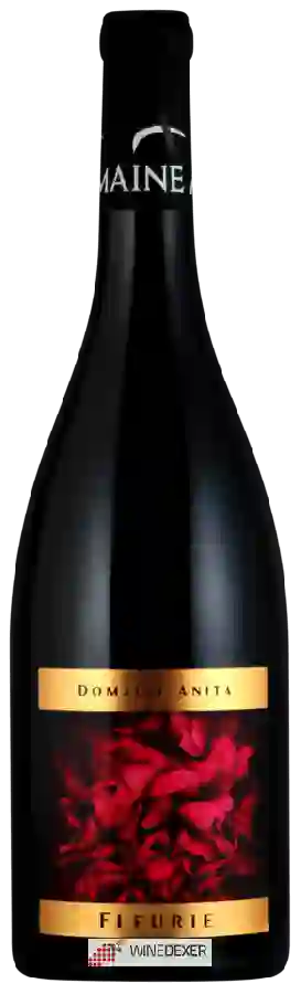 Domaine Anita - Les Moriers Fleurie