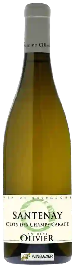 Domaine Antoine Olivier - Clos des Champs Carafe Santenay