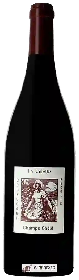 Domaine de la Cadette - Champs Cadet Bourgogne Domaine de la Cadette - Champs Cadet Bourgogne