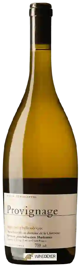 Winery Henry Marionnet - Provignage