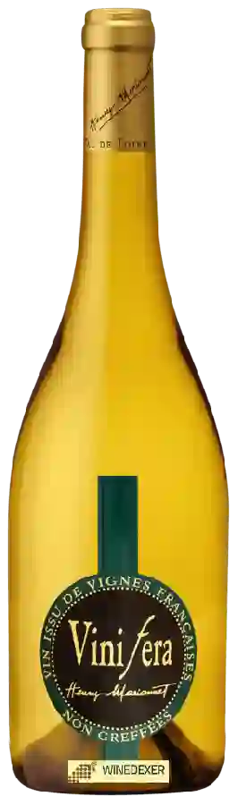 Winery Henry Marionnet - Vinifera Chenin Blanc Winery Henry Marionnet - Vinifera Chenin Blanc