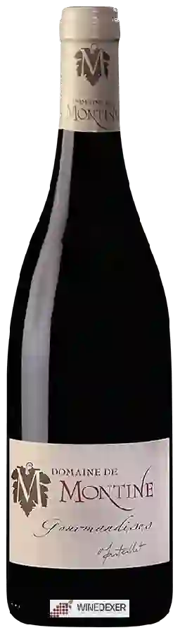 Domaine de Montine - Gourmandises Rouge Domaine de Montine - Gourmandises Rouge
