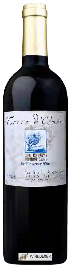 Domaine de Terrebrune - Delille Vigneron Terre d'Ombre