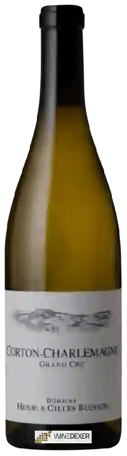 Domaine Henri & Gilles Buisson - Corton Charlemagne Grand Cru