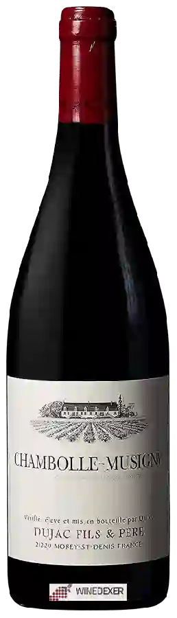 Winery Dujac Fils et Père - Chambolle-Musigny Winery Dujac Fils et Père - Chambolle-Musigny