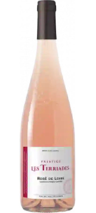 Winery Guy Saget - Marie de Beauregard St Nicolas de Bourgeil