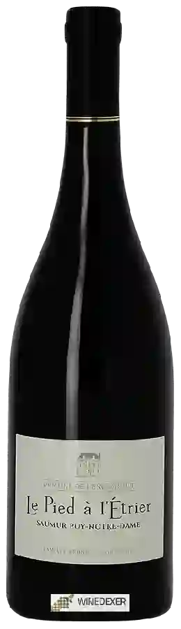 Domaine de l'Enchantoir - Le Pied à l'Étrier Saumur Puy Notre Dame