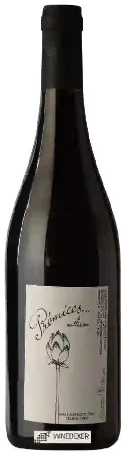 Winery Laurence et Rémi Dufaitre - Beaujolais Villages Premices Le Millesime Rouge