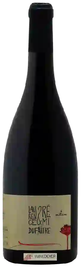 Winery Laurence et Rémi Dufaitre - Brouilly