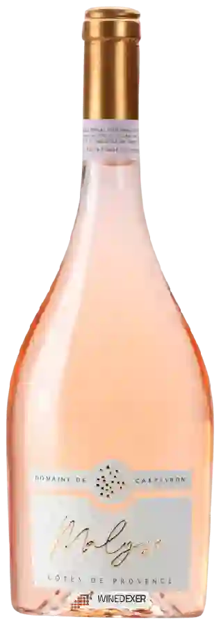 Winery Les Maitres Vignerons de la Presqu'ile de Saint-Tropez - Domaine de Carteyron Malyse