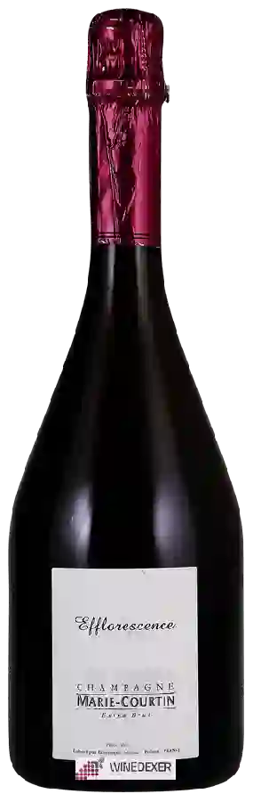 Winery Marie-Courtin - Efflorescence Extra Brut Champagne Winery Marie-Courtin - Efflorescence Extra Brut Champagne