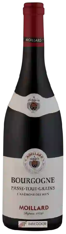 Winery Moillard - Bourgogne Passetoutgrain L'Anémone des Bois Winery Moillard - Bourgogne Passetoutgrain L'Anémone des Bois