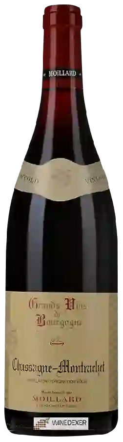 Winery Moillard - Chassagne-Montrachet