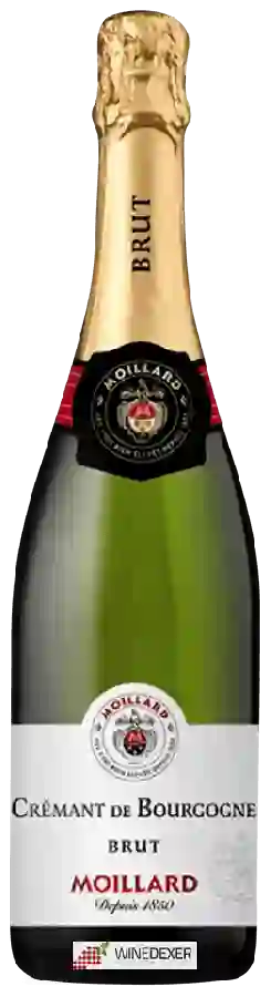 Winery Moillard - Crémant de Bourgogne Brut