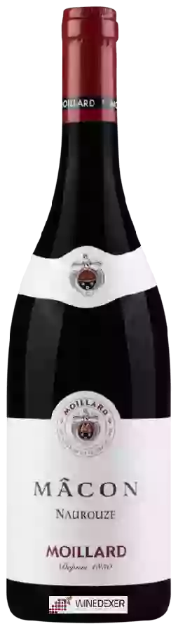 Winery Moillard - Naurouze Macon Winery Moillard - Naurouze Macon