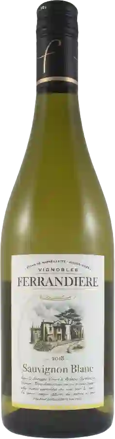 Winery Montagne Noire - Sauvignon Blanc Winery Montagne Noire - Sauvignon Blanc