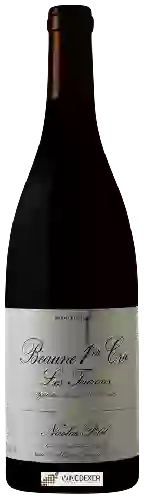 Winery Nicolas Potel - Beaune 1er Cru Les Teurons