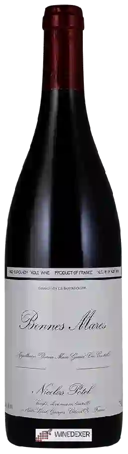 Winery Nicolas Potel - Bonnes Mares Grand Cru