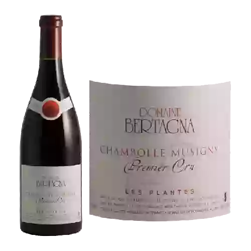 Winery Nicolas Potel - Bourgogne Pinot Noir Vieilli en Fût de Chêne