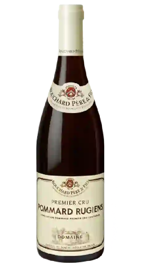 Winery Nicolas Potel - Pommard 1er Cru Les Arvelets