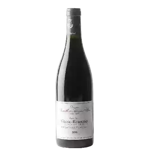 Winery Nicolas Potel - Vosne-Romanée 1er Cru Les Chaumes