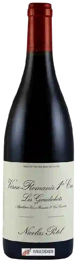 Winery Nicolas Potel - Vosne-Romanée 1er Cru Les Gaudichots