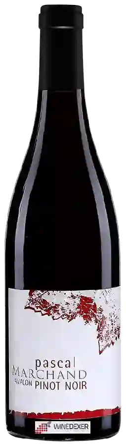 Winery Pascal Marchand-Tawse - Avalon Pinot Noir