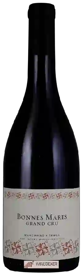 Winery Pascal Marchand-Tawse - Bonnes Mares Grand Cru