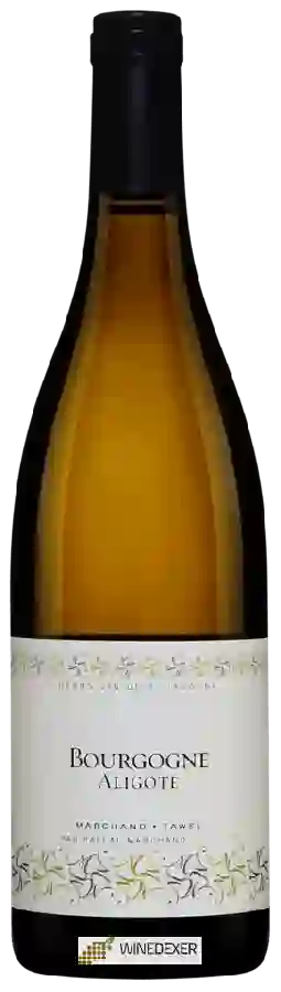 Winery Pascal Marchand-Tawse - Bourgogne Aligoté Winery Pascal Marchand-Tawse - Bourgogne Aligoté