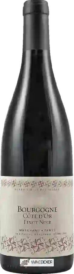 Winery Pascal Marchand-Tawse - Bourgogne Cote d'Or Pinot Noir Winery Pascal Marchand-Tawse - Bourgogne Cote d'Or Pinot Noir