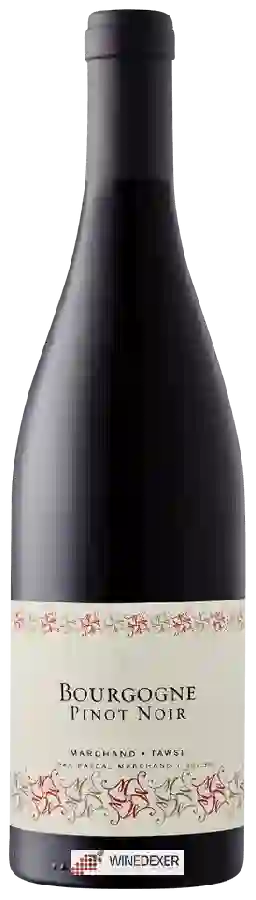 Winery Pascal Marchand-Tawse - Bourgogne Pinot Noir Winery Pascal Marchand-Tawse - Bourgogne Pinot Noir