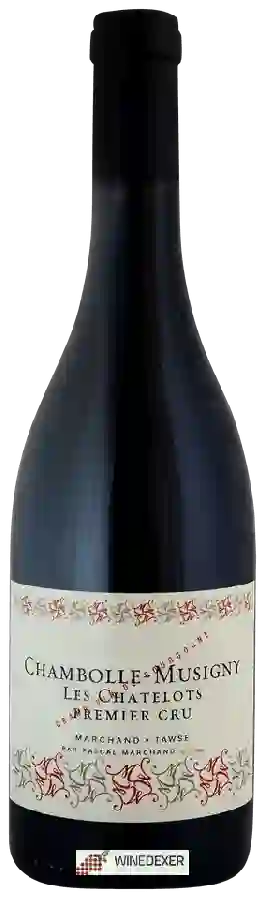 Winery Pascal Marchand-Tawse - Chambolle-Musigny 1er Cru 'Les Chatelots' Winery Pascal Marchand-Tawse - Chambolle-Musigny 1er Cru 'Les Chatelots'