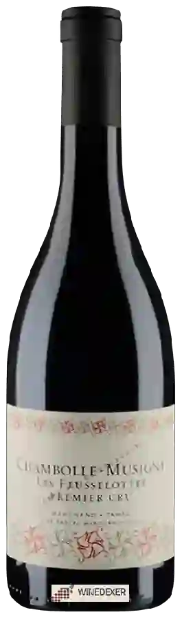 Winery Pascal Marchand-Tawse - Chambolle-Musigny 1er Cru 'Les Feusselottes' Winery Pascal Marchand-Tawse - Chambolle-Musigny 1er Cru 'Les Feusselottes'