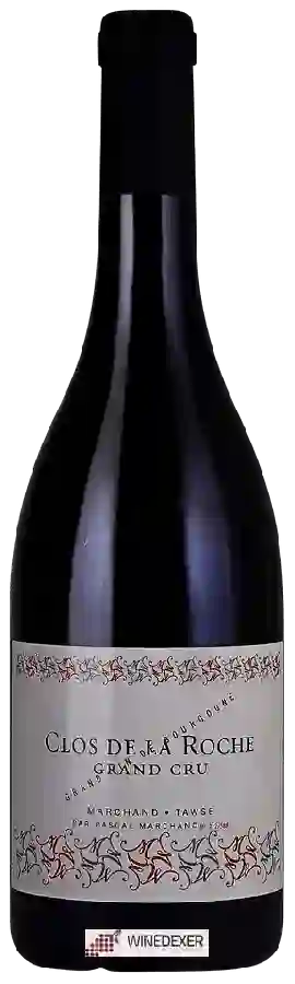 Winery Pascal Marchand-Tawse - Clos de la Roche Grand Cru Winery Pascal Marchand-Tawse - Clos de la Roche Grand Cru