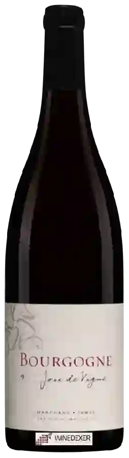 Winery Pascal Marchand-Tawse - Joie de Vigne Bourgogne