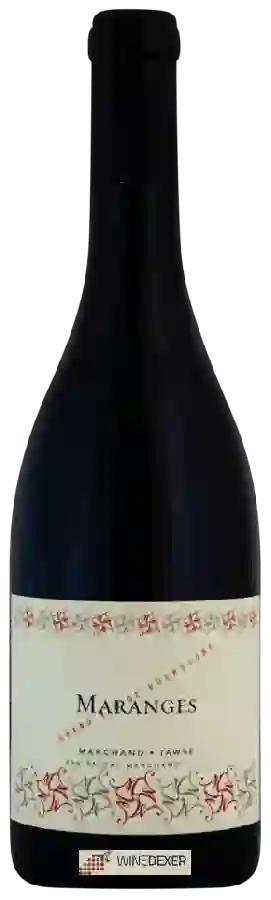 Winery Pascal Marchand-Tawse - Maranges Winery Pascal Marchand-Tawse - Maranges