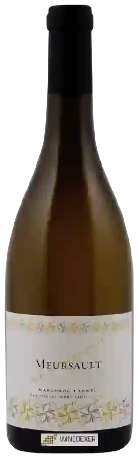 Winery Pascal Marchand-Tawse - Meursault Winery Pascal Marchand-Tawse - Meursault