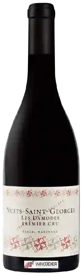 Winery Pascal Marchand-Tawse - Nuits-Saint-Georges 1er Cru 'Les Damodes' Winery Pascal Marchand-Tawse - Nuits-Saint-Georges 1er Cru 'Les Damodes'