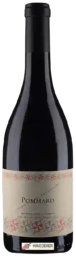 Winery Pascal Marchand-Tawse - Pommard