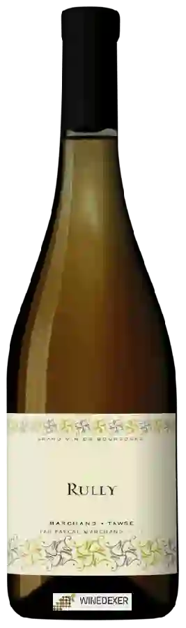 Winery Pascal Marchand-Tawse - Rully Premier Cru