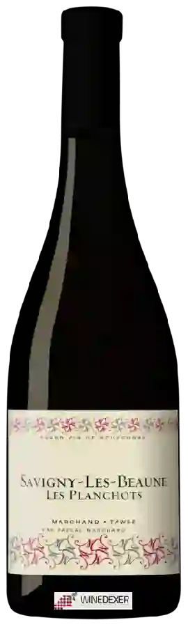 Winery Pascal Marchand-Tawse - Savigny-lès-Beaune 'Les Planchots'