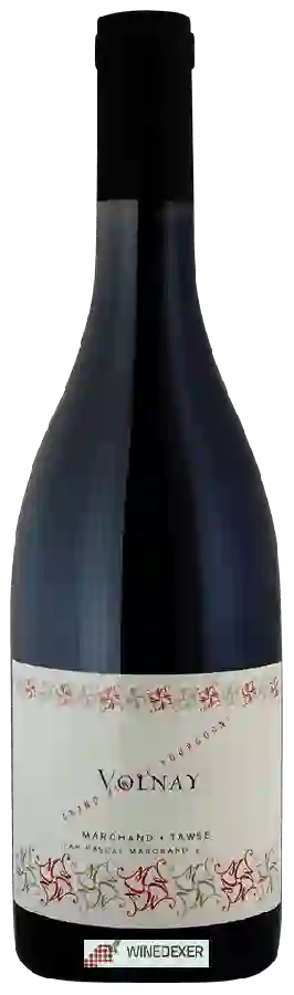 Winery Pascal Marchand-Tawse - Volnay