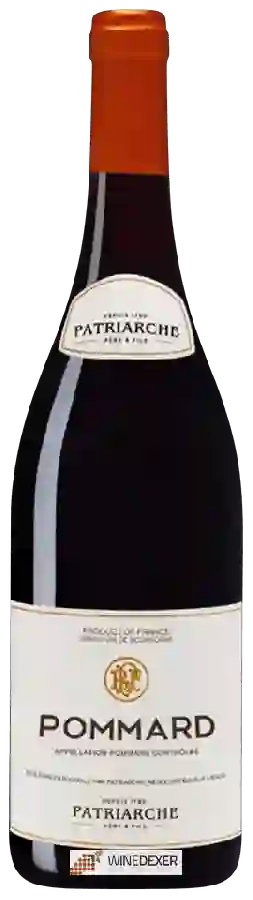 Winery Patriarche Père & Fils - Pommard Winery Patriarche Père & Fils - Pommard